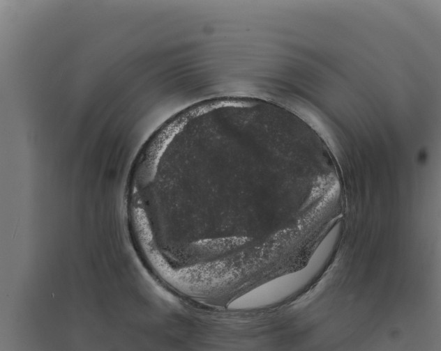 X0000094191141200711241609