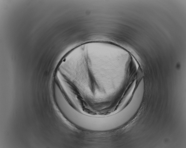 X0000094191142200711241609