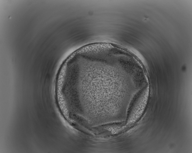 X0000094191144200711241609