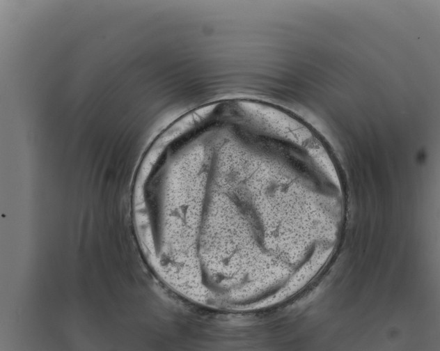 X0000094191145200711241609
