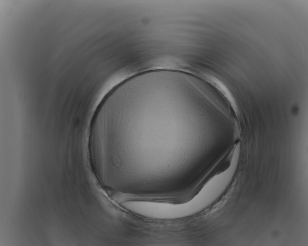 X0000094191146200711241610