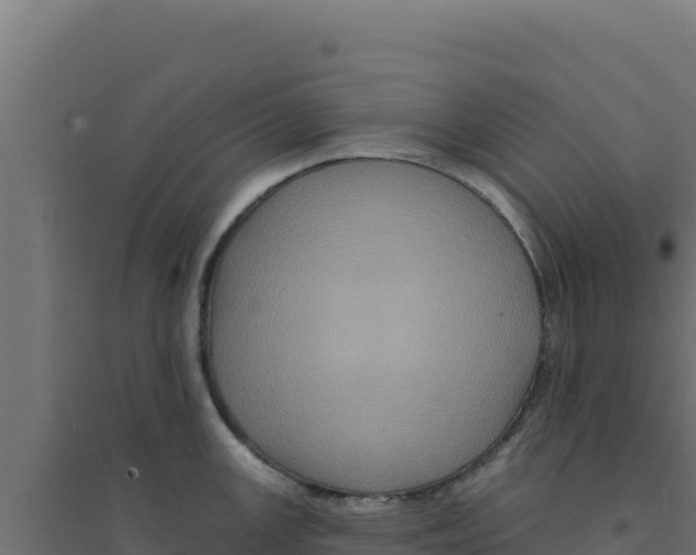 X0000094191147200711241610