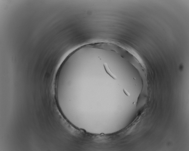 X0000094191148200711241610