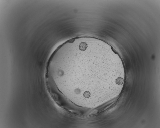 X0000094191149200711241610