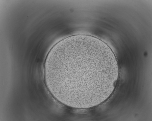 X0000094191150200711241610