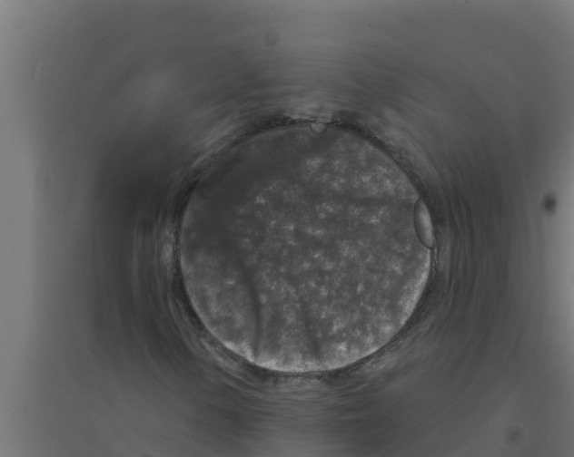 X0000094191154200711241609