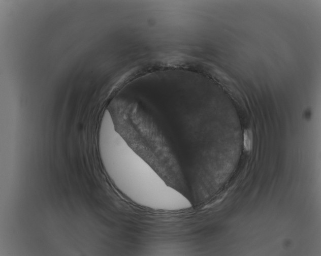 X0000094191155200711241609