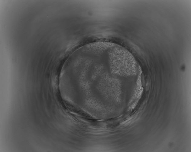 X0000094191156200711241609