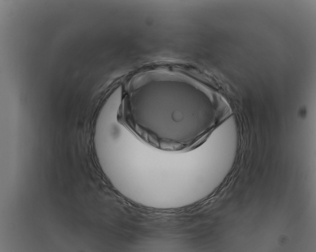 X0000094191157200711241609