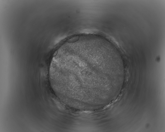 X0000094191158200711241609