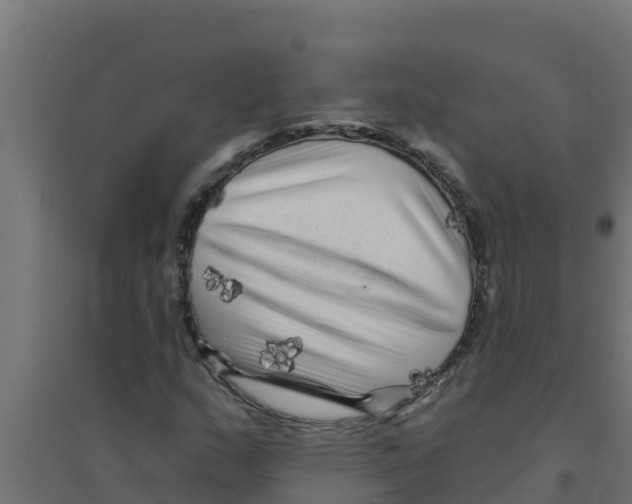 X0000094191159200711241609