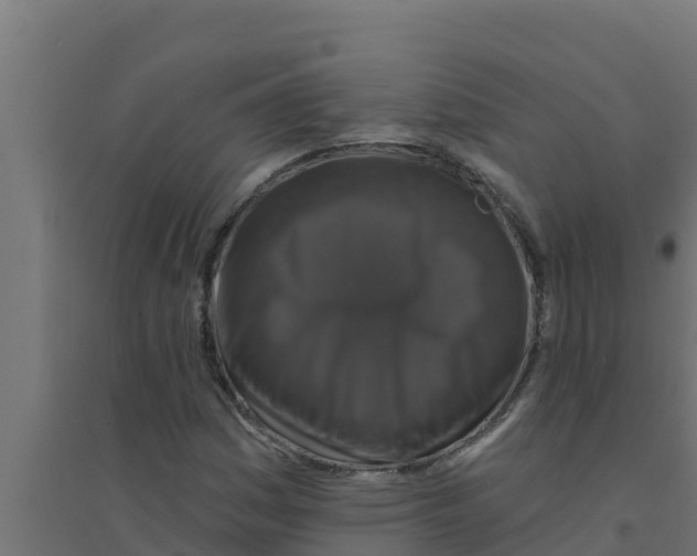 X0000094191161200711241609