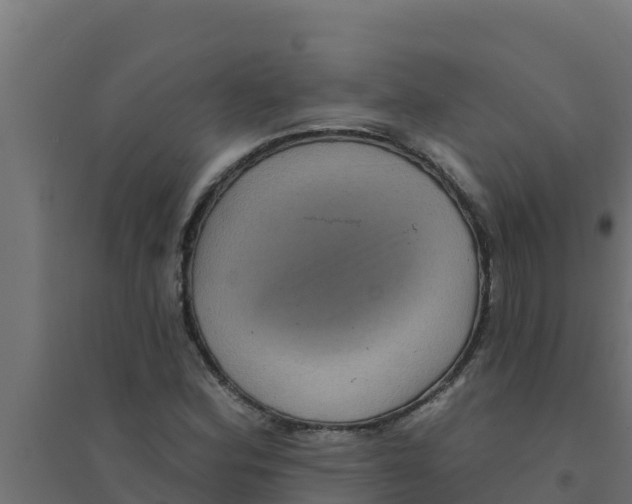 X0000094191164200711241609