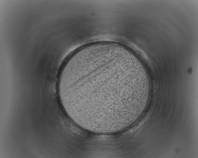 X0000094191166200711241609