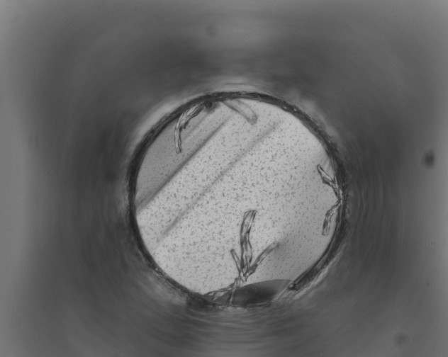 X0000094191167200711241609