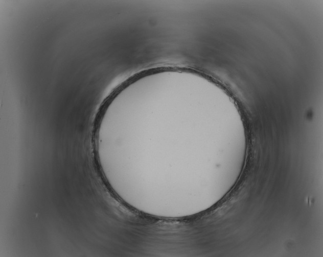 X0000094191168200711241609