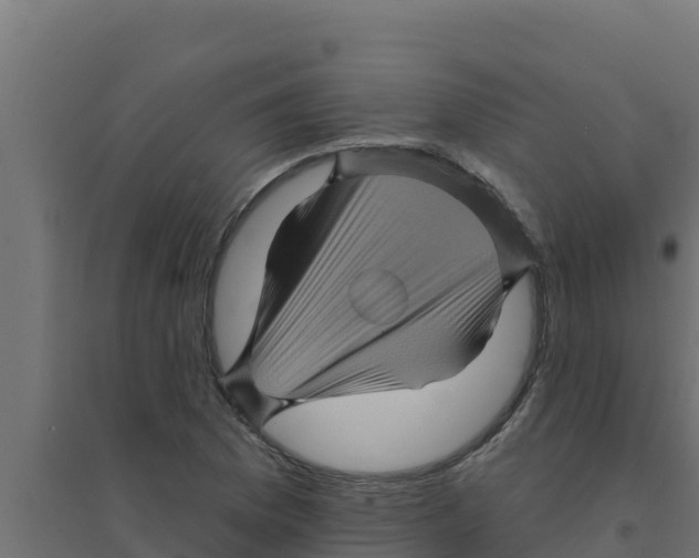 X0000094191169200711241609