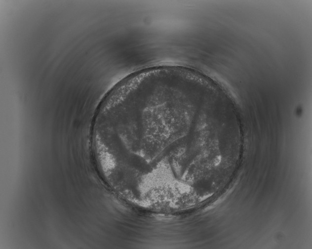 X0000094191170200711241609