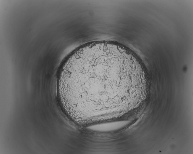 X0000094191171200711241609