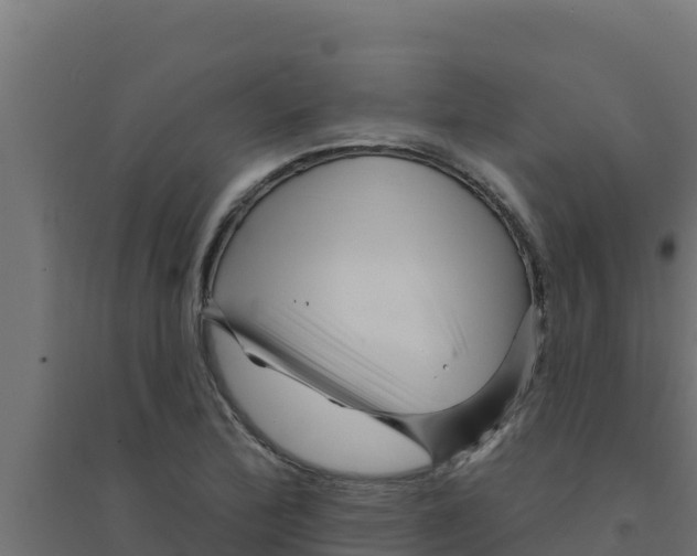 X0000094191172200711241609