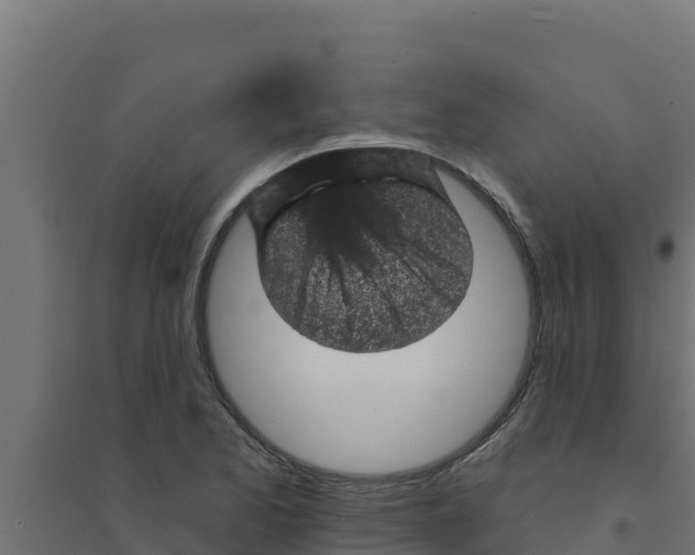 X0000094191173200711241609