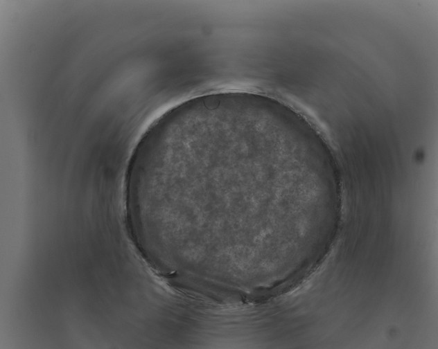 X0000094191174200711241609