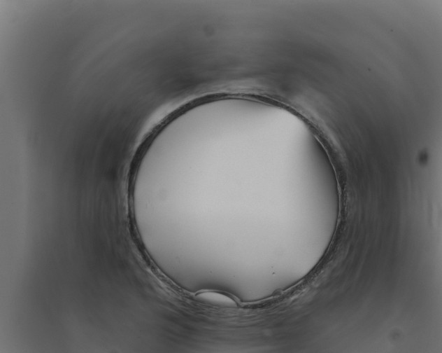 X0000094191176200711241609