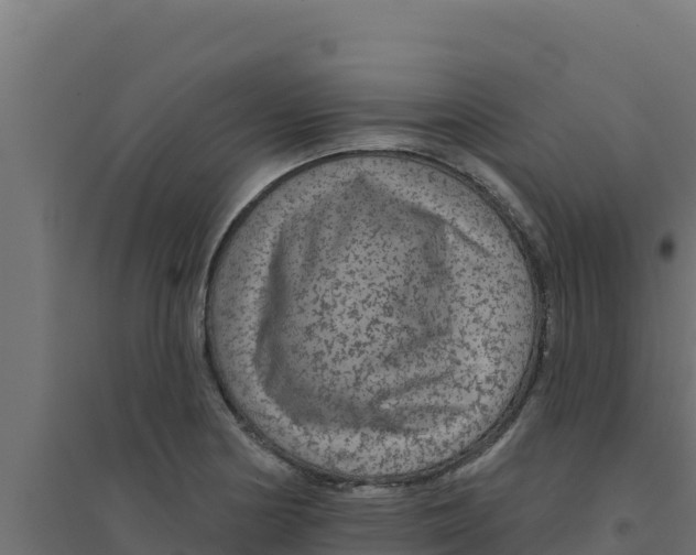 X0000094191178200711241609