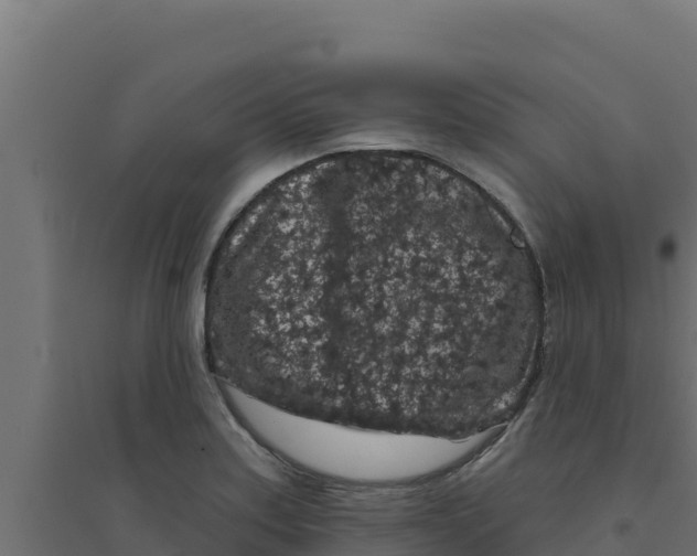 X0000094191179200711241609