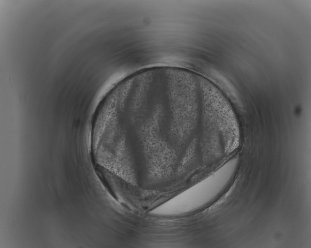 X0000094191180200711241609