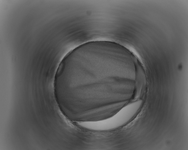 X0000094191181200711241609