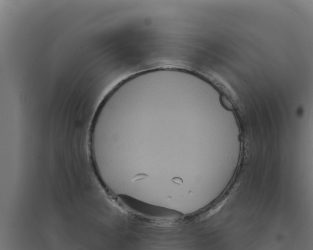 X0000094191182200711241609