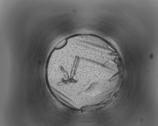 X0000094191183200711241609