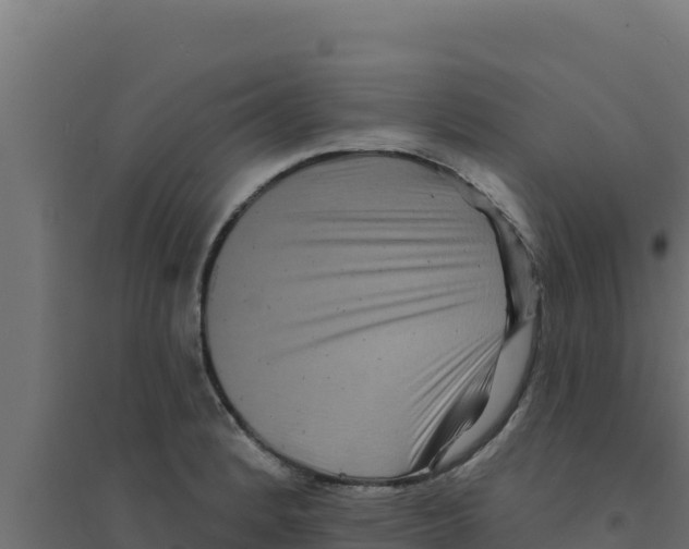 X0000094191184200711241609