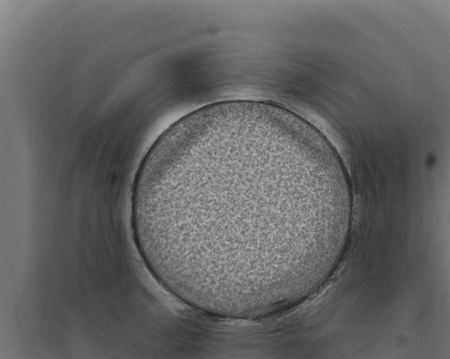 X0000094191187200711241608