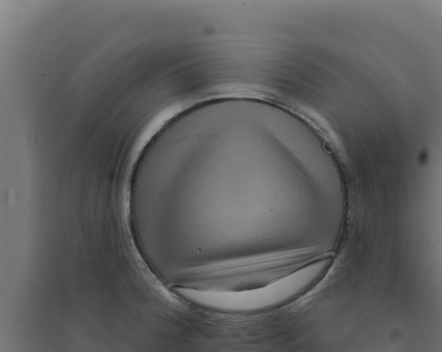 X0000094191188200711241608