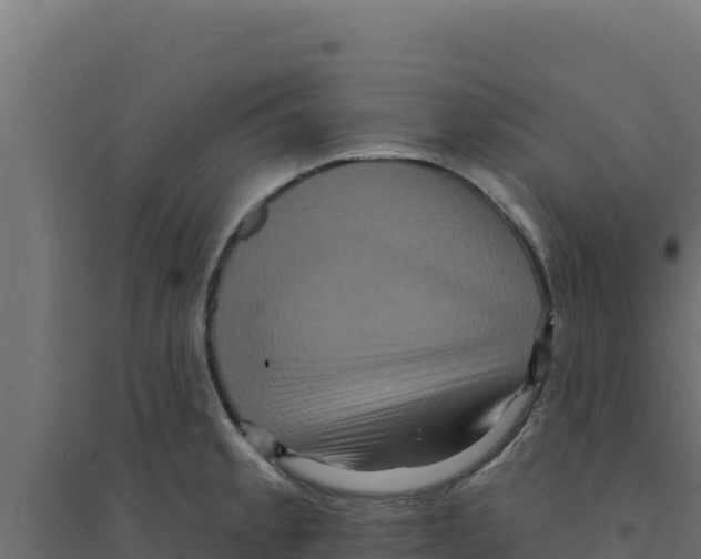 X0000094191189200711241608