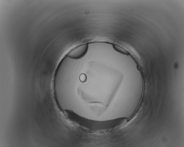 X0000094191190200711241608