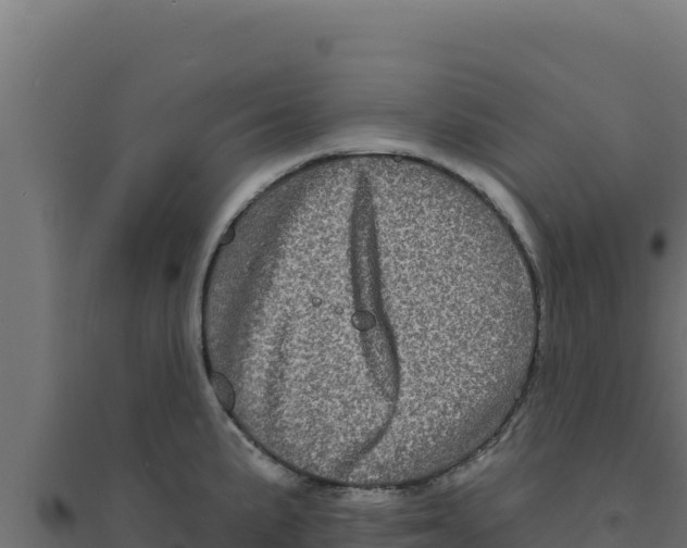 X0000094191191200711241608