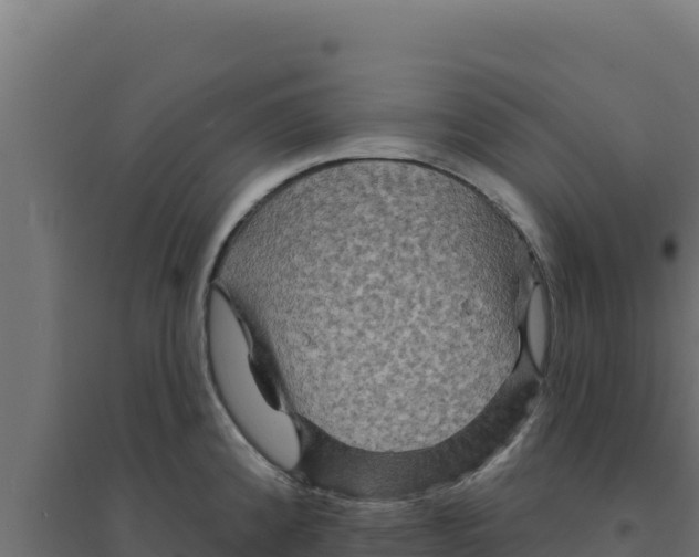 X0000094191192200711241608