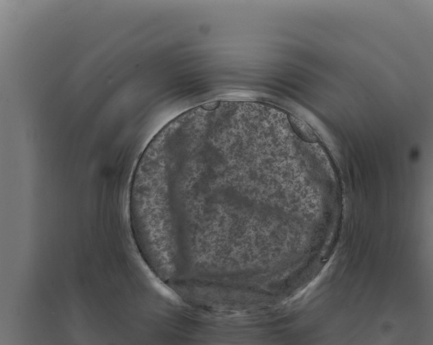 X0000094191194200711241608