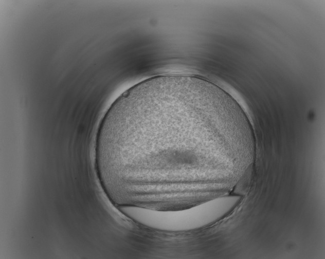 X0000094191195200711241608