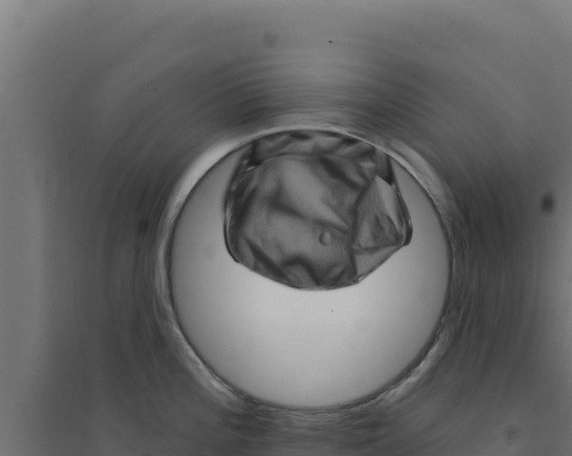 X0000094191196200711241608