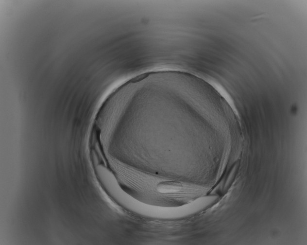 X0000094191197200711241608