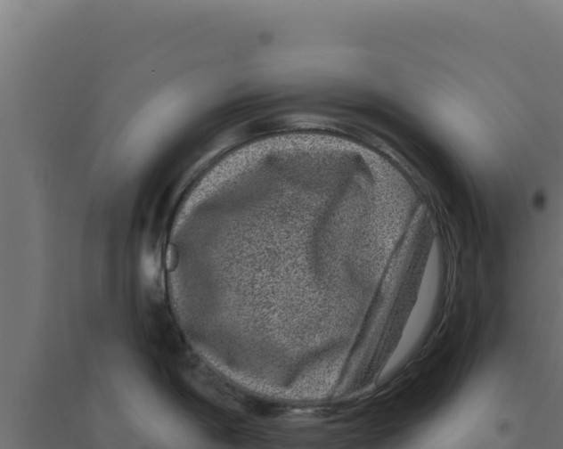 X0000094191198200711241608