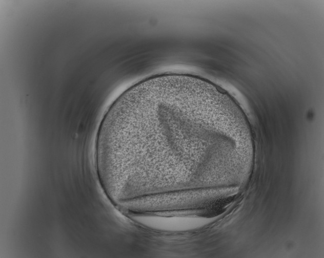 X0000094191199200711241608