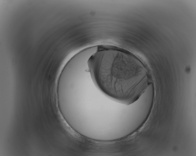 X0000094191200200711241608