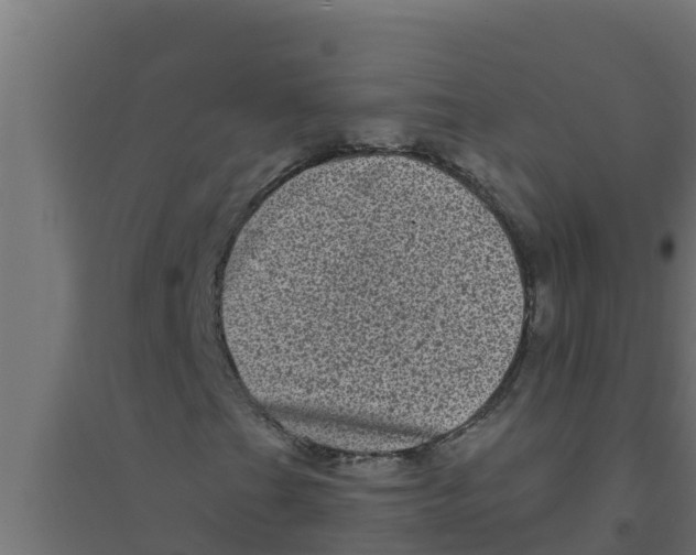 X0000094191201200711241608