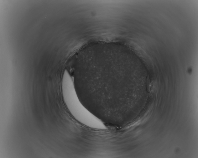 X0000094191202200711241608