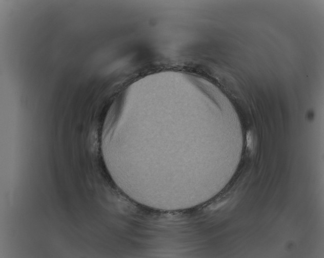 X0000094191203200711241608